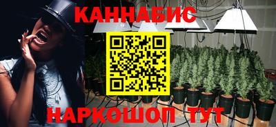 mdpv Краснознаменск