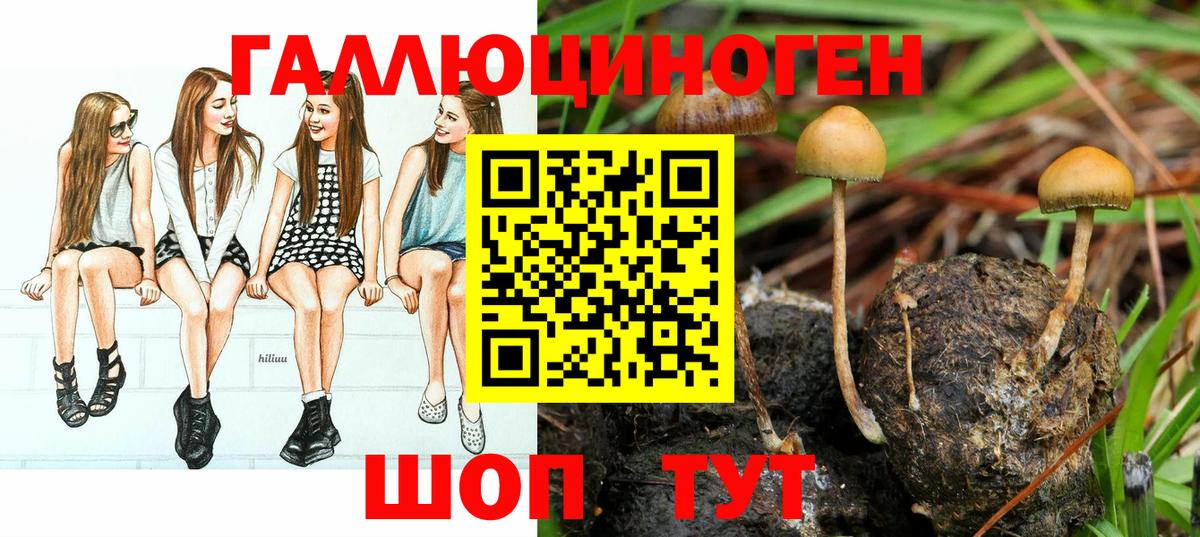 Галлюциногенные грибы MAGIC MUSHROOMS Кандалакша