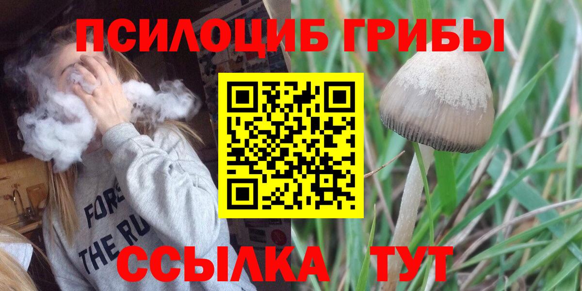 купить наркотики сайты  Вход с VPN  Кандалакша  Псилоцибиновые грибы Cubensis 