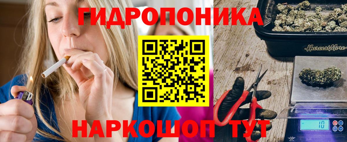 МАРИХУАНА OG Kush Кандалакша
